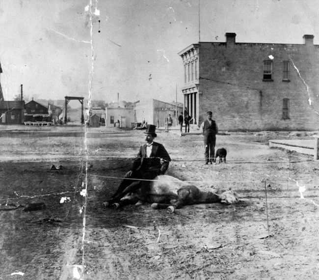 man sitting on a dead horse